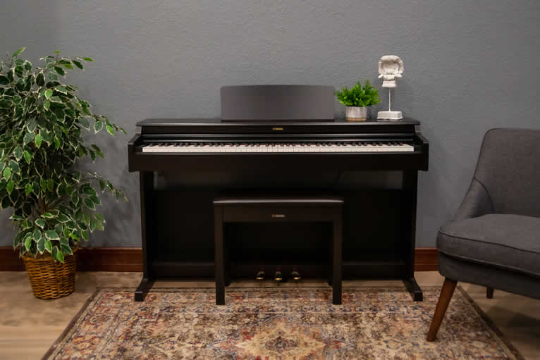 Ydp 164 rosewood deals