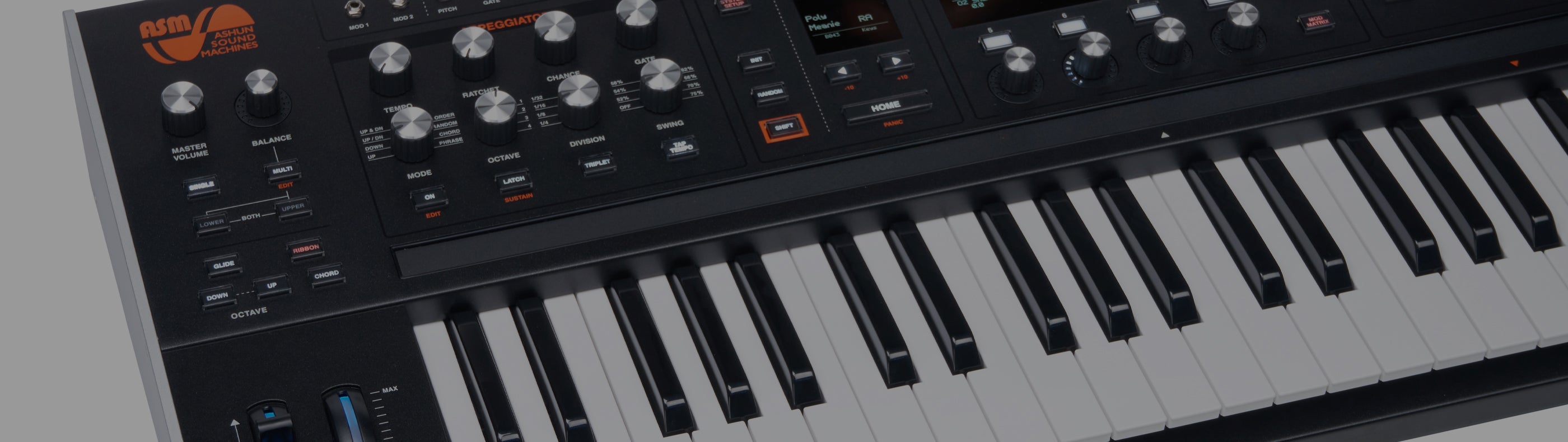 ASM Hydrasynth Deluxe