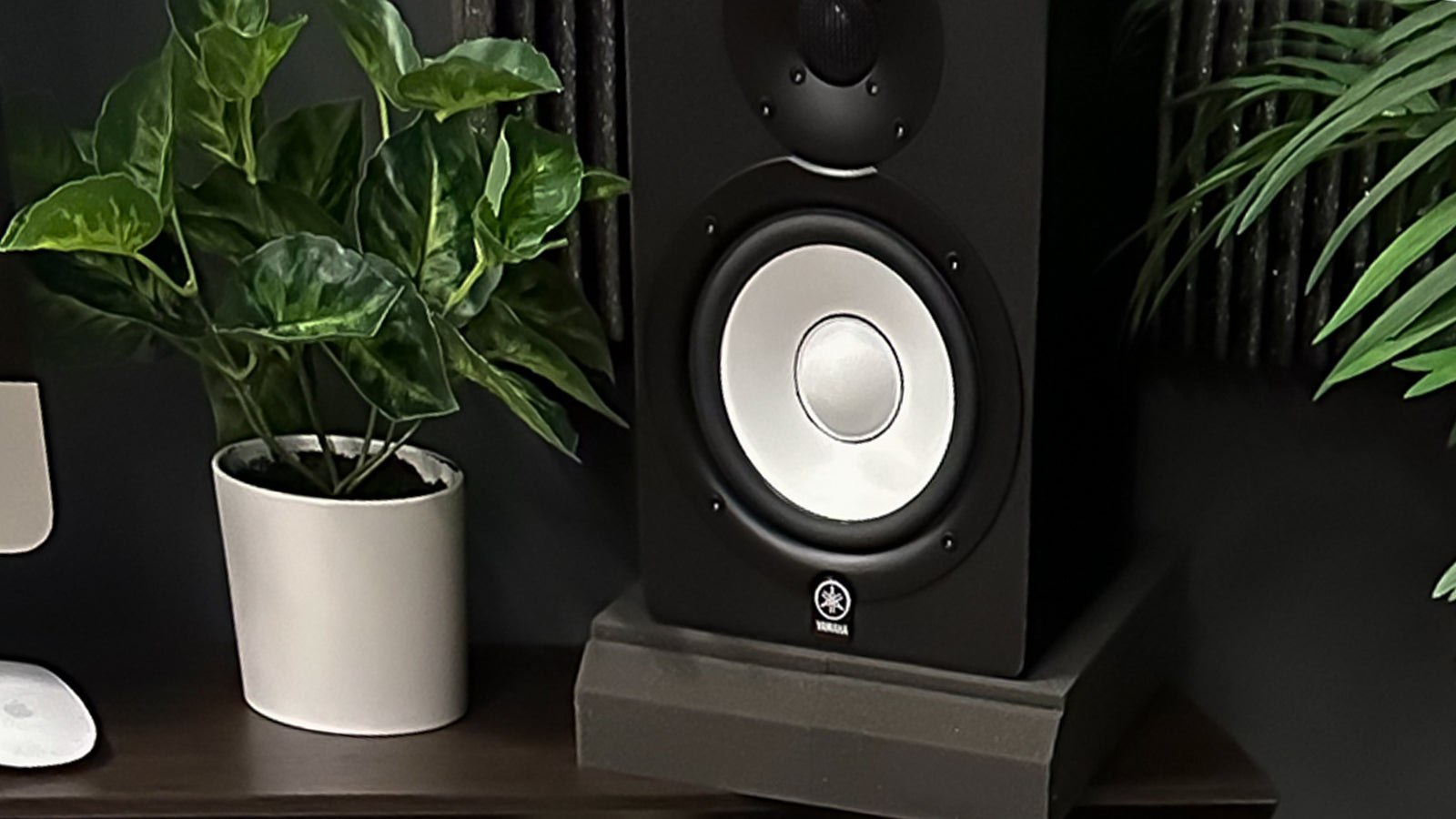 Studio Monitor Speakers