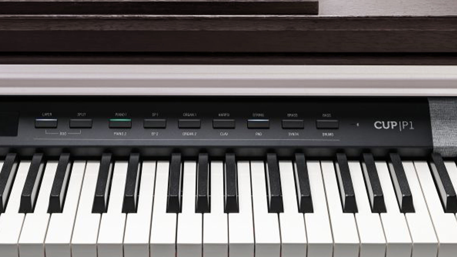 Close up of the Kurzweil CUP P1