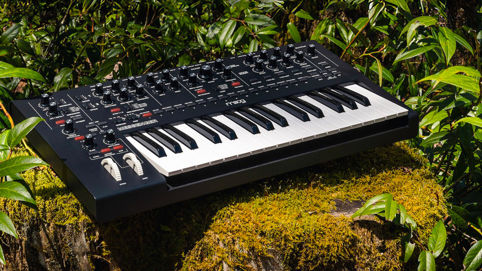A Moog Messenger out in the wild