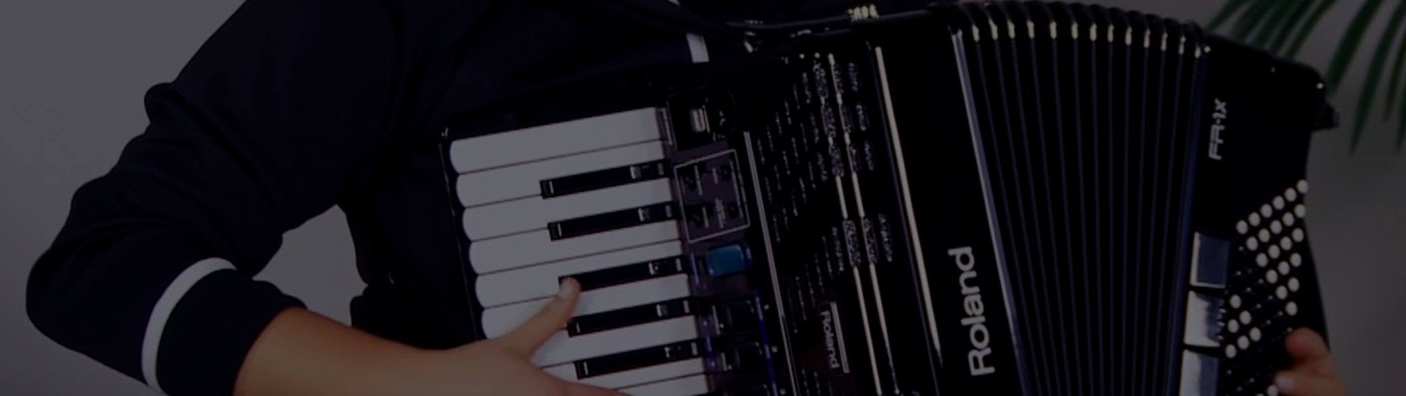 Roland FR-1x Compact V-Accordion