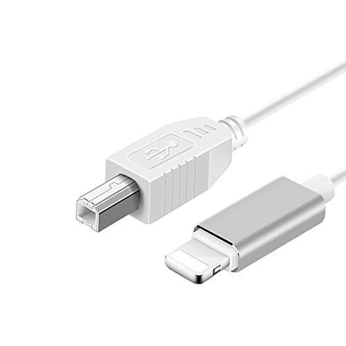 Usb type b to on sale lightning cable
