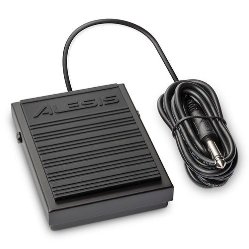 Alesis ASP-1 MKII Momentary Footswitch, View 1