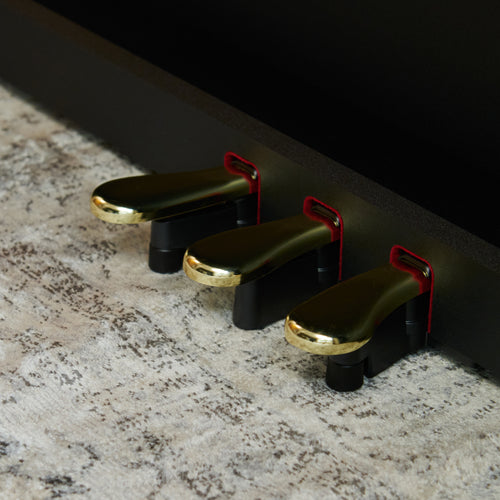 Casio Celviano AP-300 Digital Piano - Black - View 10