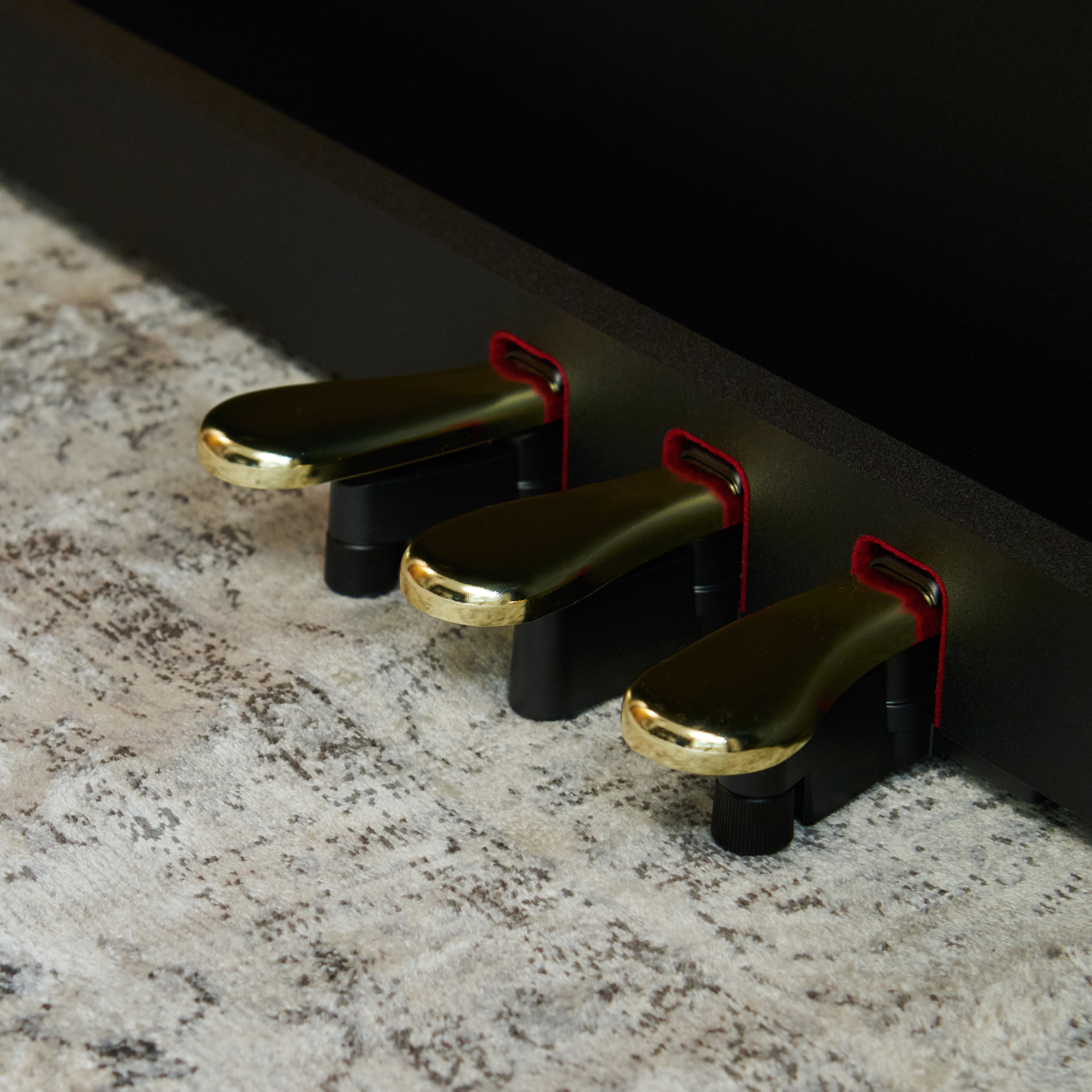 Casio Celviano AP-300 Digital Piano - Black - View 10