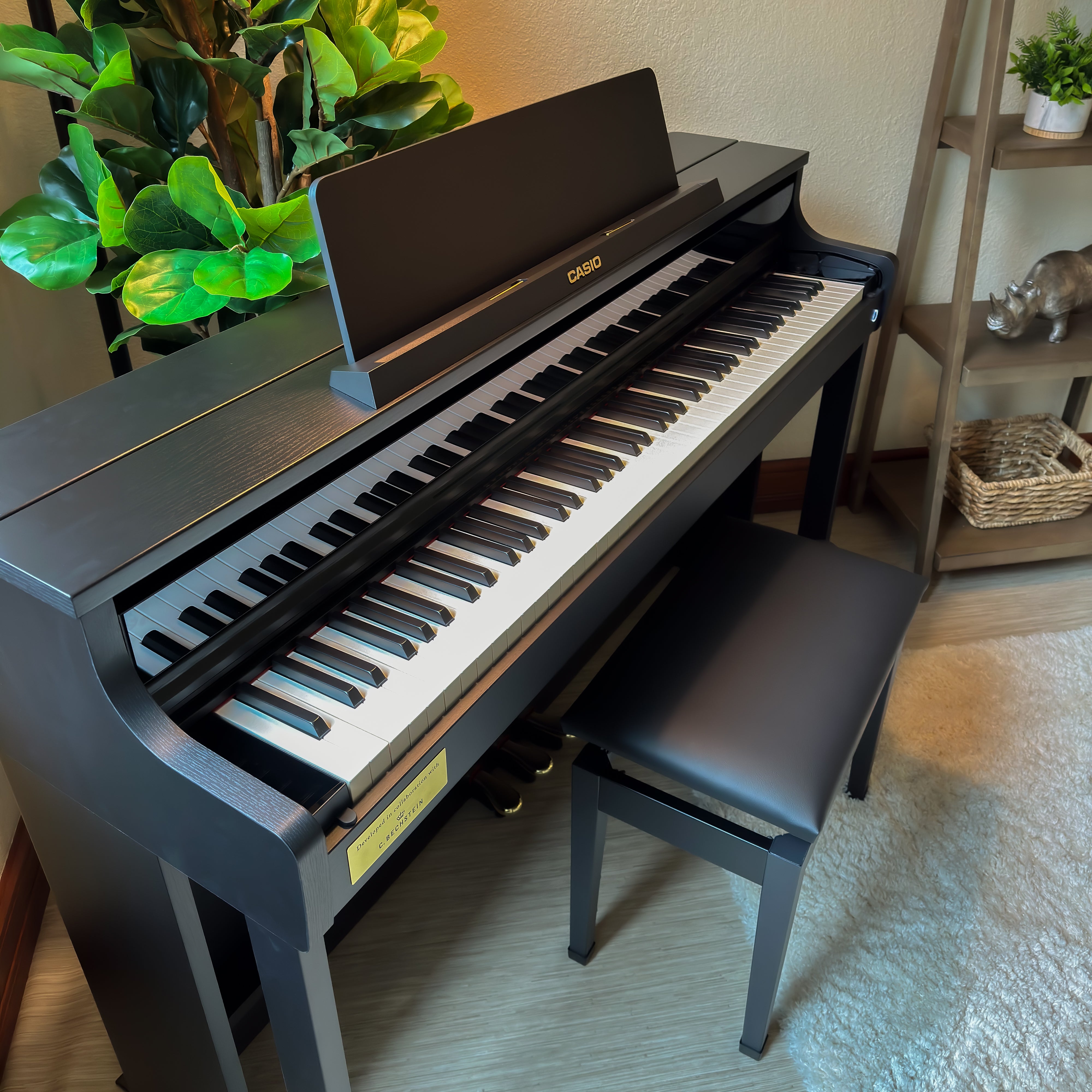 Casio Celviano AP-750 Digital Piano - Black - View 15