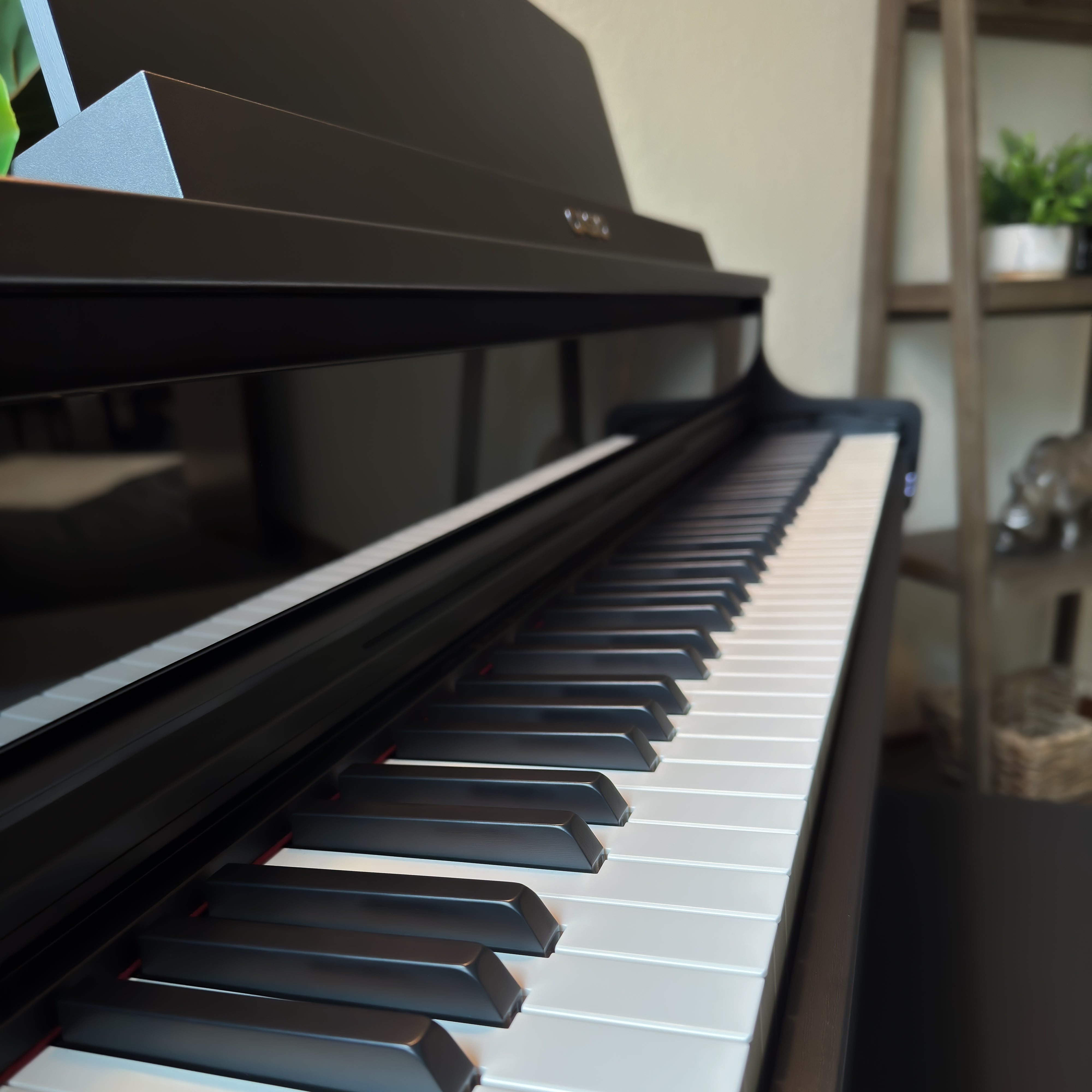 Casio Celviano AP-750 Digital Piano - Black - View 13