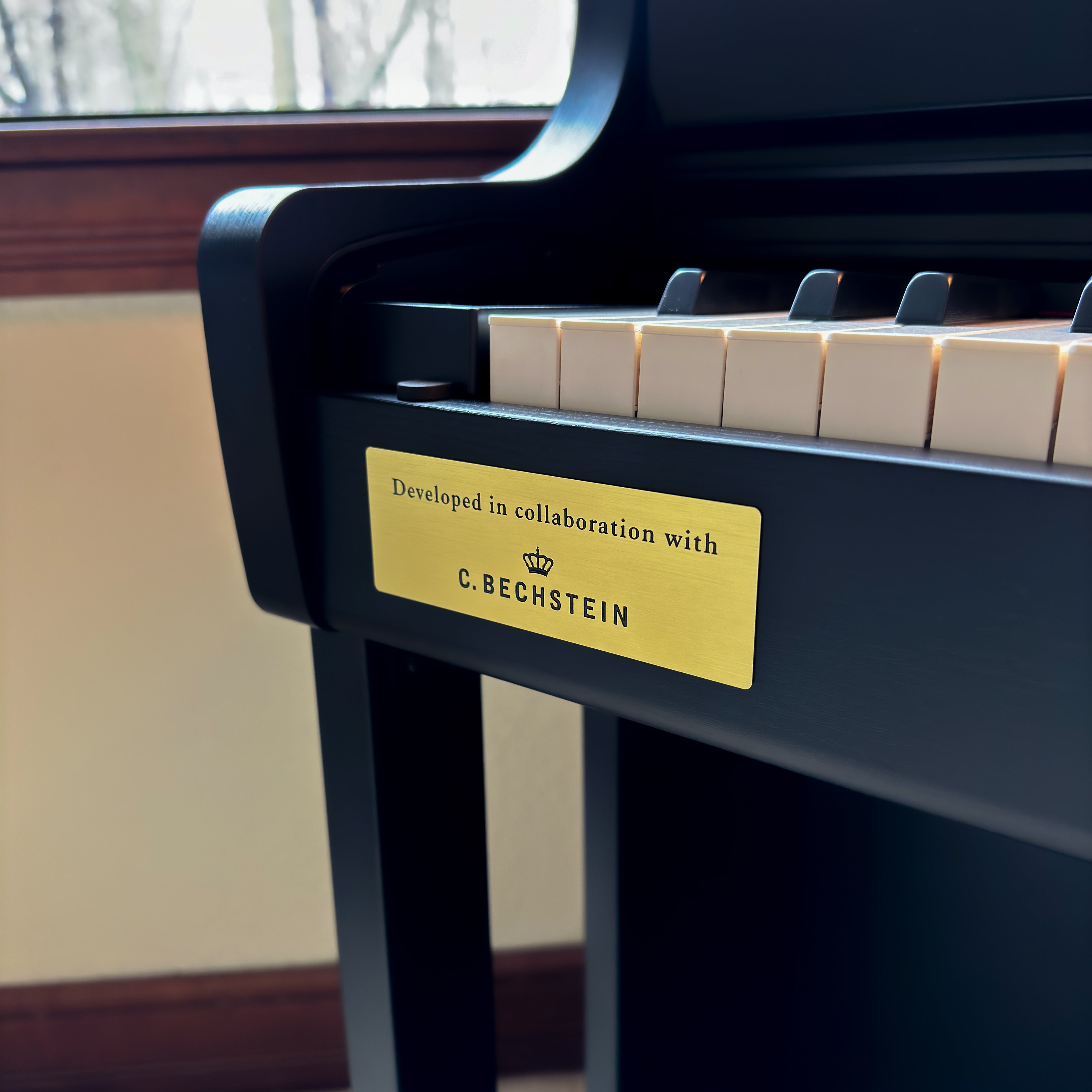 Casio Celviano AP-750 Digital Piano - Black - View 18