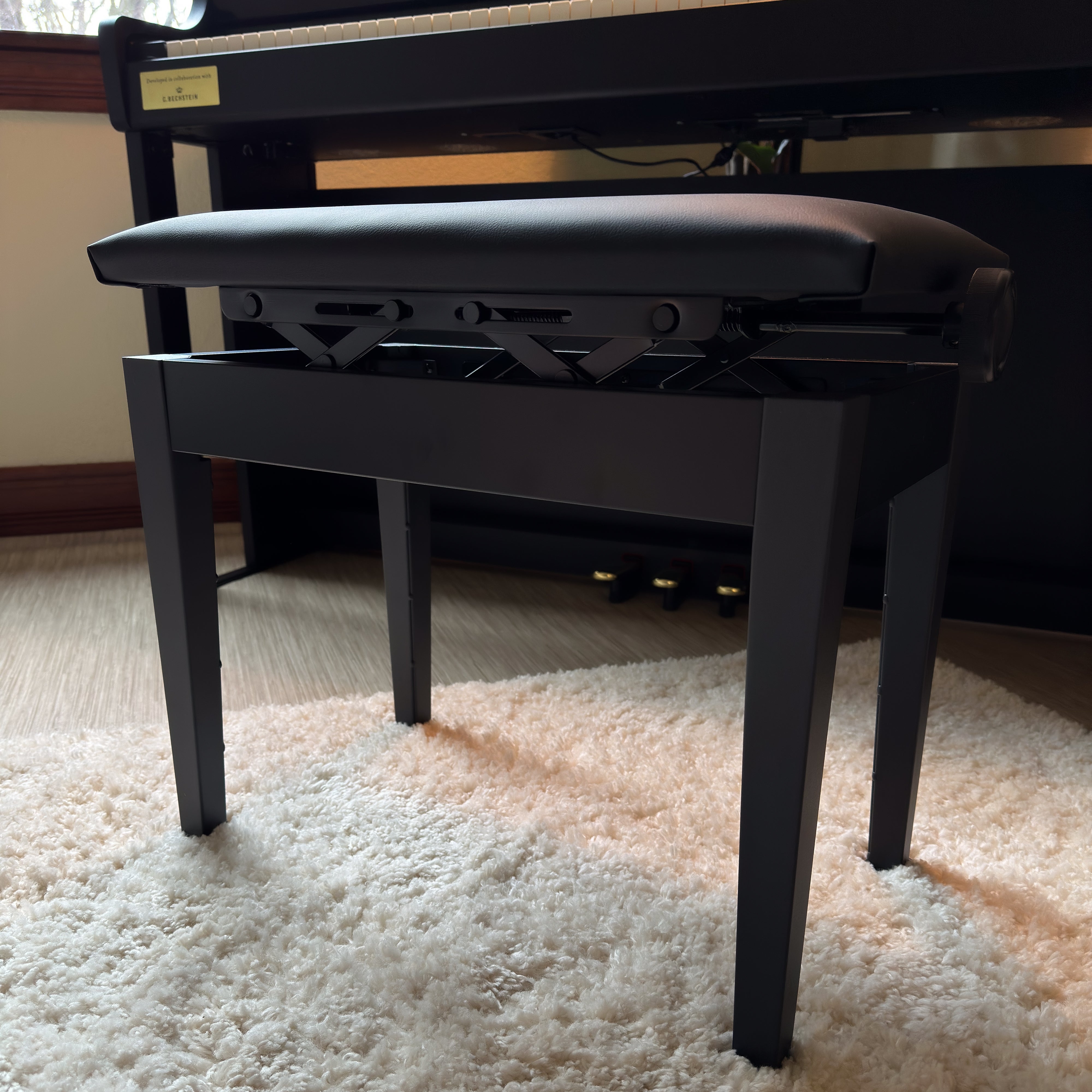 Casio Celviano AP-750 Digital Piano - Black - View 19