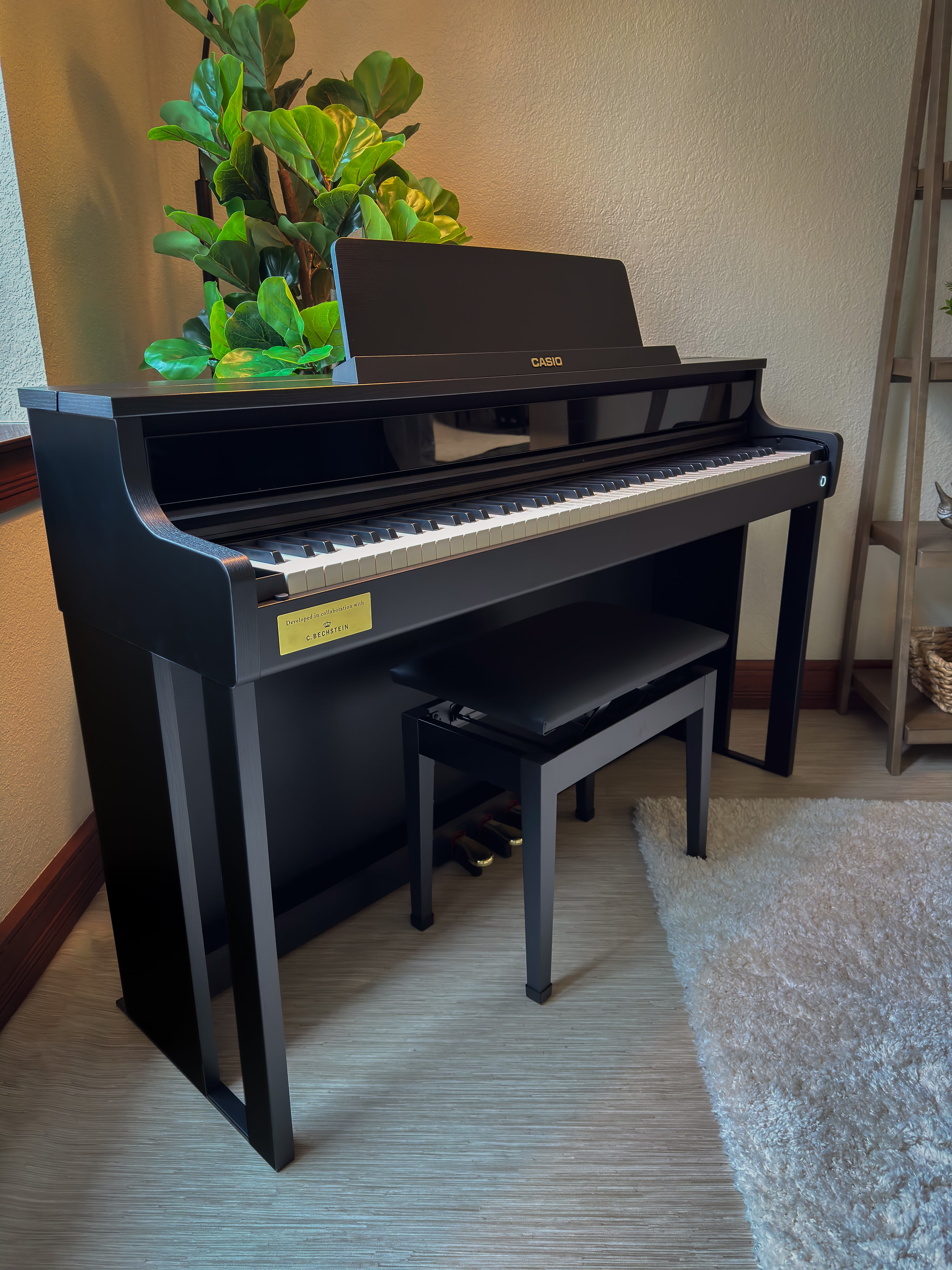 Casio Celviano AP-750 Digital Piano - Black - View 2