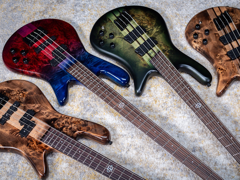Image of a collection of Spector basses