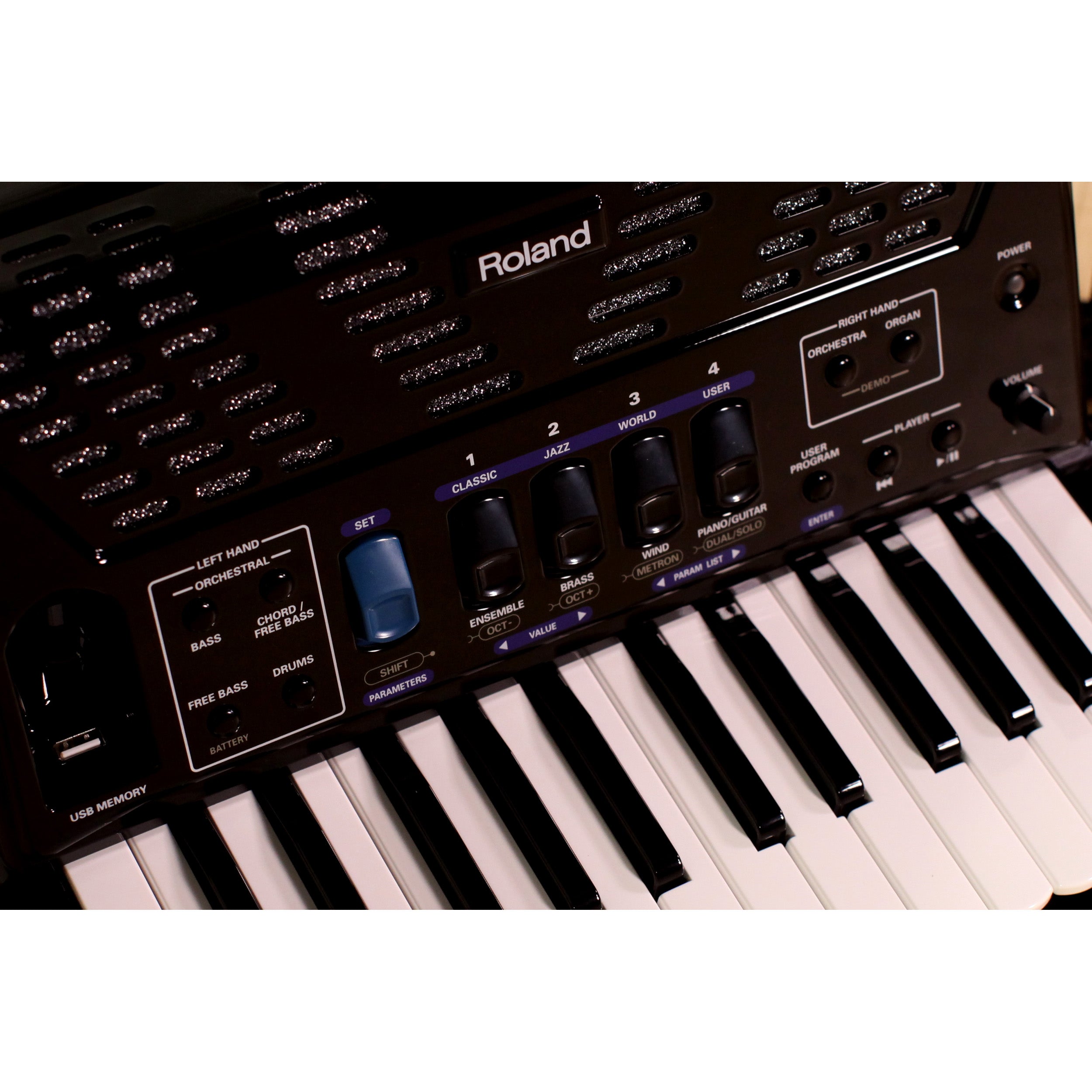 Roland FR-1x V-Accordion Lite Dale Mathis Edition - Black, View 10