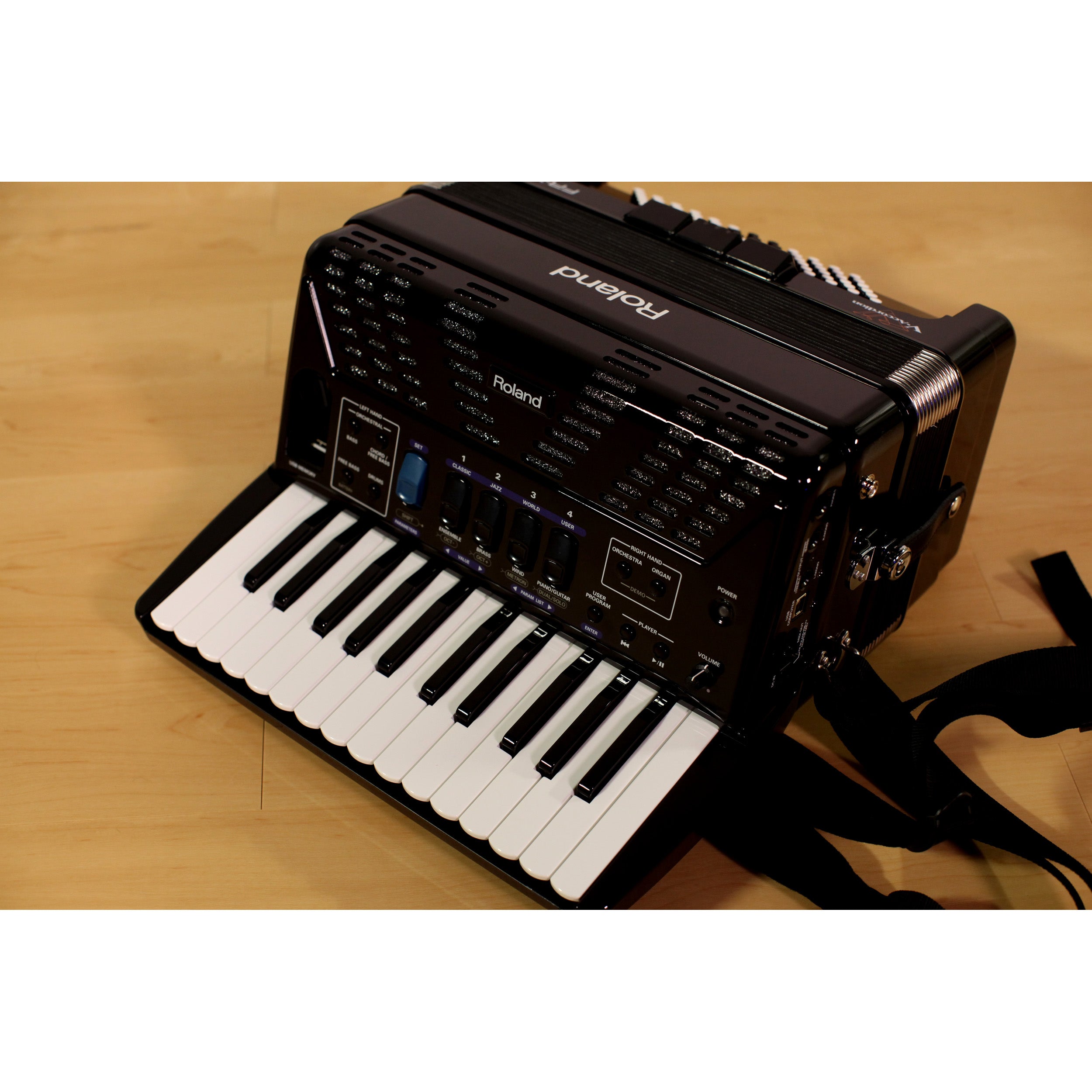 Roland FR-1x V-Accordion Lite Dale Mathis Edition - Black, View 11
