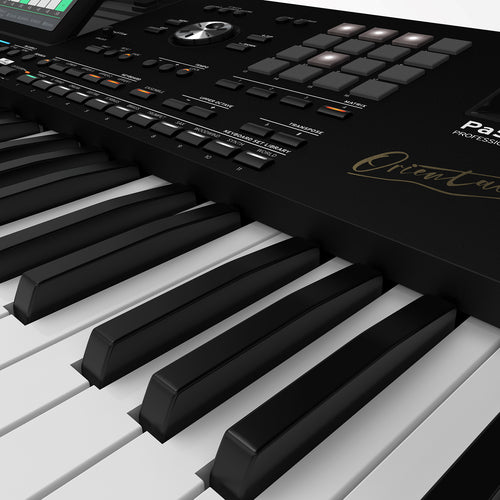 Korg PA5X Oriental 76-key Arranger Workstation Keyboard, View 3
