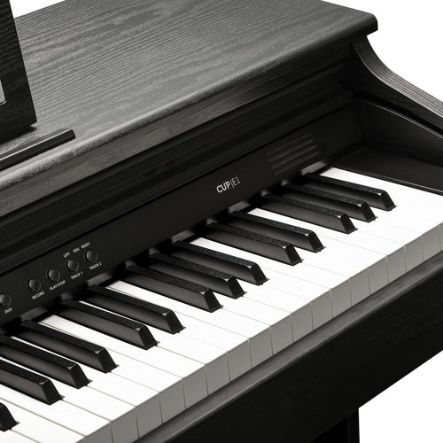 Kurzweil CUP E1 Digital Piano - Dark Rosewood, View 5