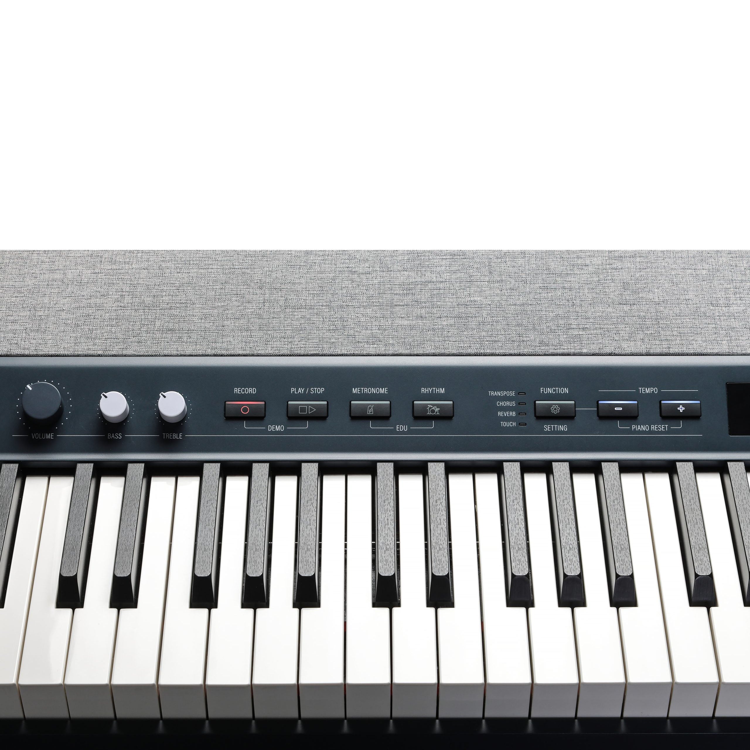 Kurzweil KA-P1 Digital Piano - Kobalt Blue, View 6