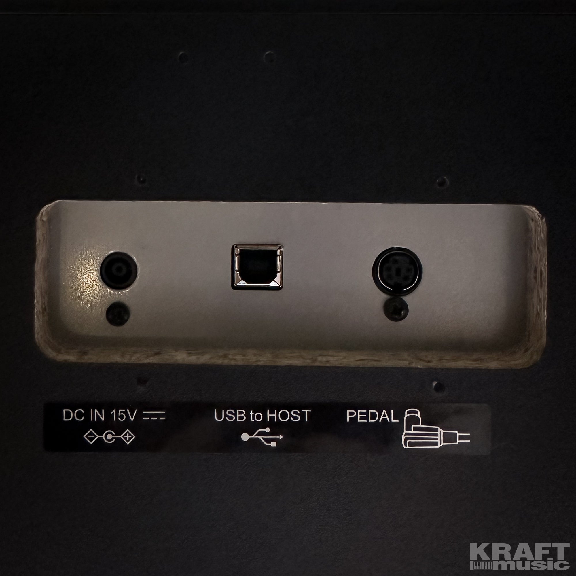 Kawai CN201 Digital Piano - Premium Rosewood - USB, power, and pedal jacks