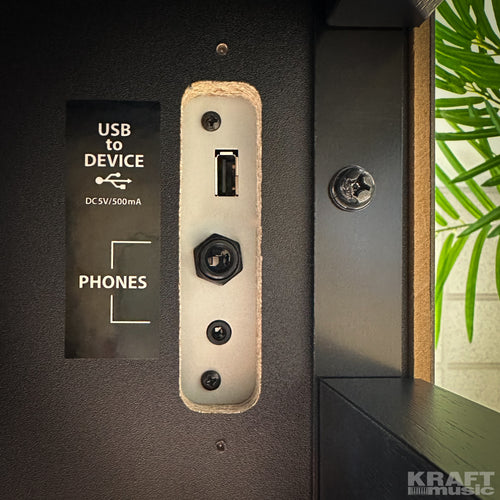 Kawai CN301 Digital Piano - Satin Black - USB and Headphone Jacks