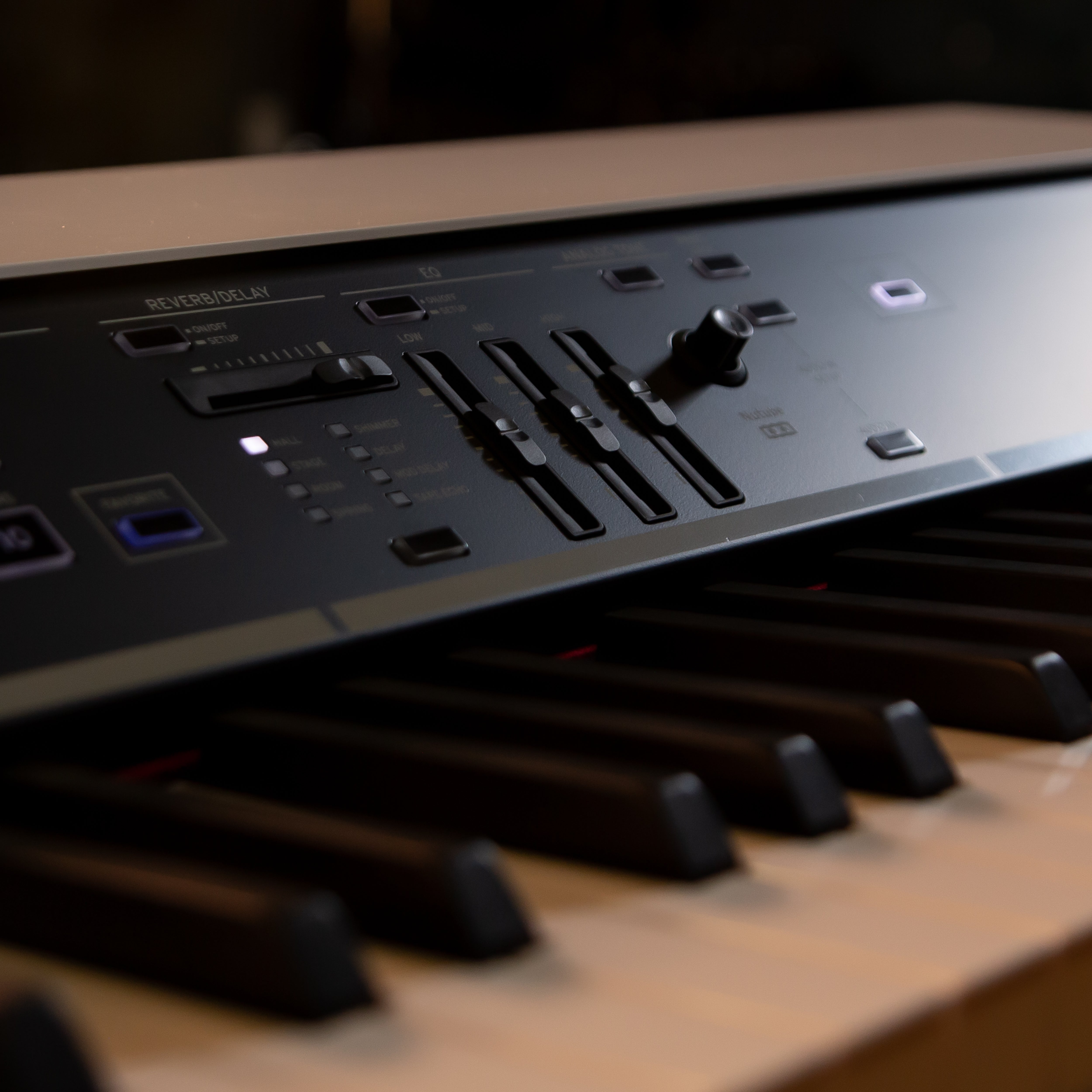 Korg Grandstage X Stage Piano - View 10