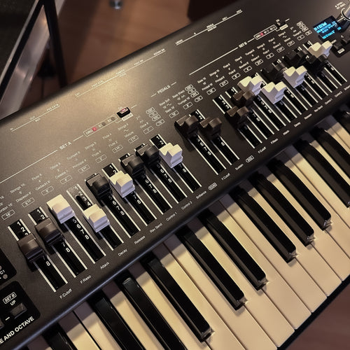 Viscount Legend One 61 Stage Keyboard - View 9