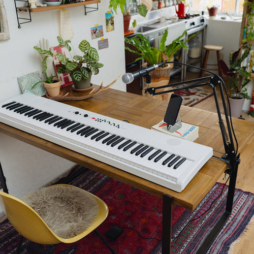 Korg Liano Live Digital Piano, view 8