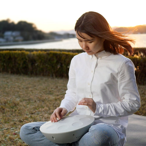 Roland Mood Pan Electronic Hand Percussion, View 5