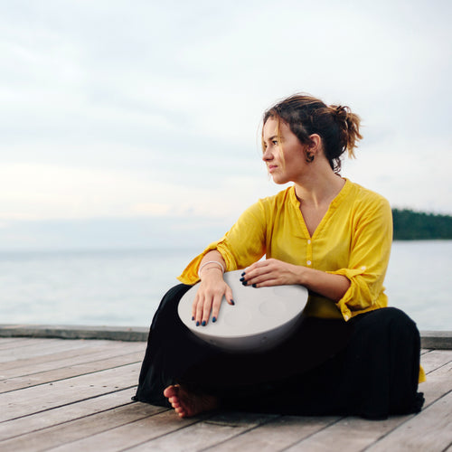 Roland Mood Pan Electronic Hand Percussion Instrument