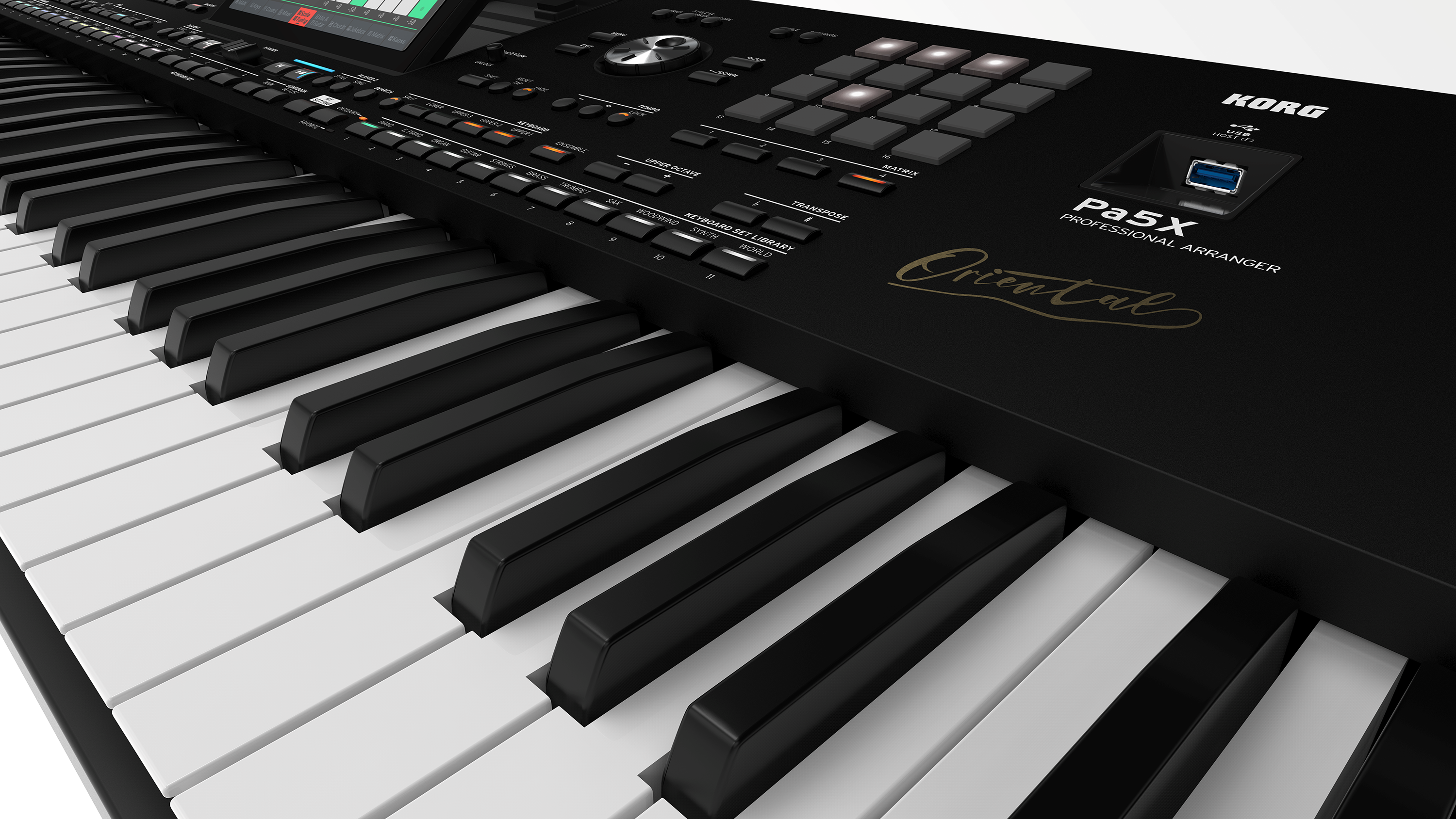 Korg PA5X Oriental 61-key Arranger Workstation Keyboard STAGE KIT Korg PA5X Oriental 61-key Arranger Workstation Keyboard STAGE KIT