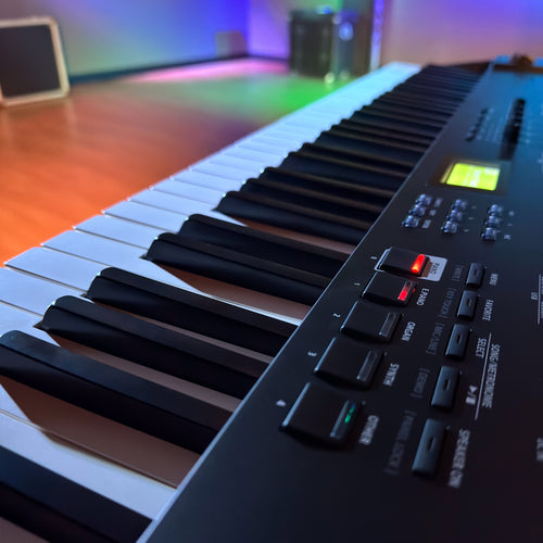 Roland RD-08 Stage Piano, View 4