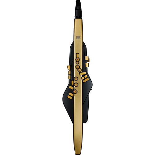 Roland Aerophone Pro AE-30A Gold Limited Edition View 1
