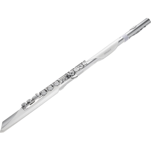 Roland Aerophone Brisa Digital Wind Instrument View 1