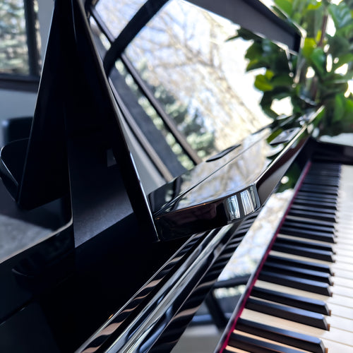 Roland LX-6 Digital Piano with Bench - Polished Ebony, View 8