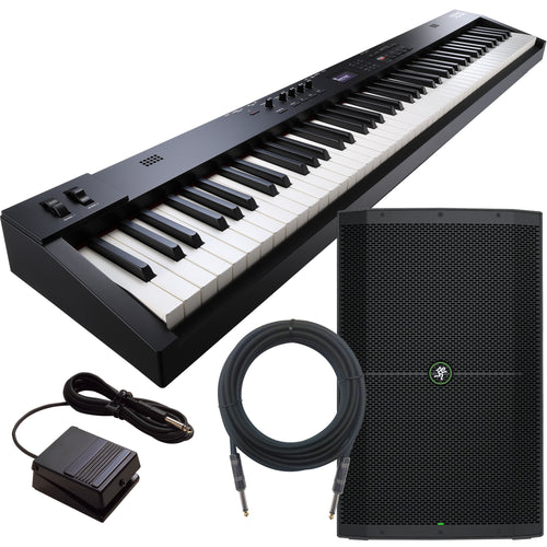 Roland RD-08 Stage Piano MONITOR KIT