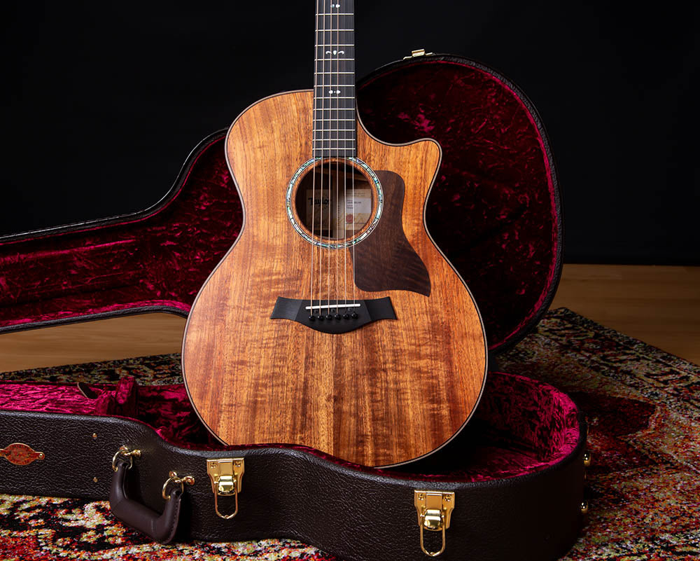 Taylor 724CE Acoustic Guitar and Case