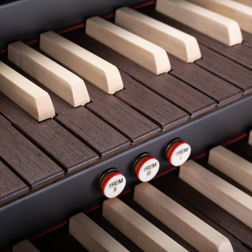 Viscount Cantorum Trio Plus Wood Keys 3 Manual Portable Organ - View 6