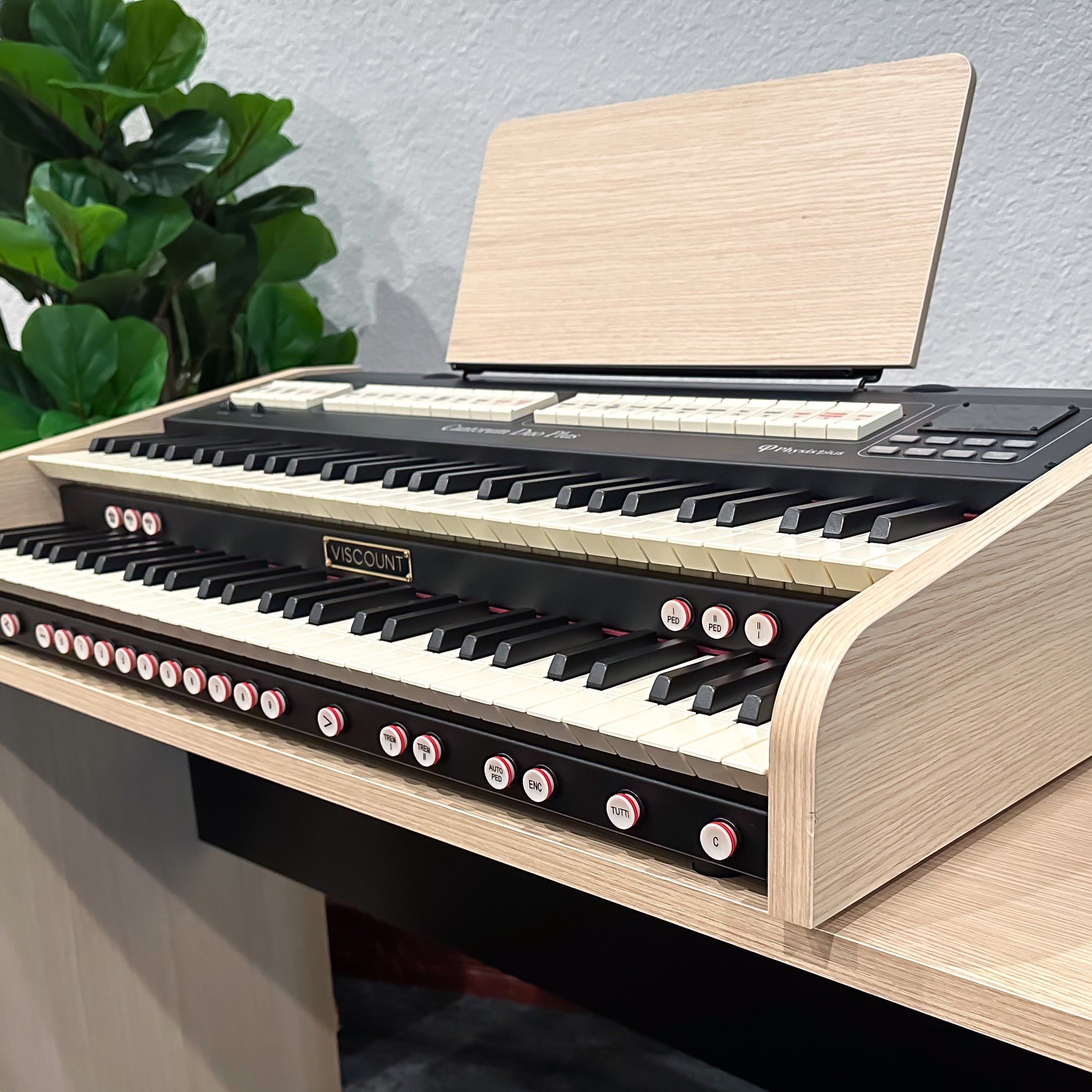 Viscount Cantorum Duo Plus 2 Manual Portable Organ - View 5