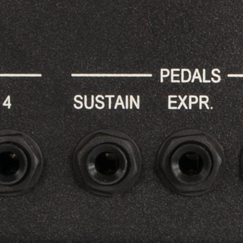 Viscount Cantorum Duo Plus 2 Manual Portable Organ - Wood Keys - View 9