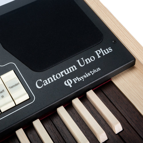 Viscount Cantorum Uno Plus Single Manual Portable Organ - View 8