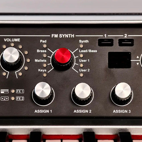 Viscount Legend 70's Sound FM Synth Sound Module, view 5