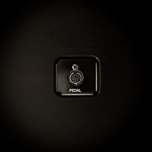 Yamaha Clavinova CSP-295GP Digital Grand Piano - Polished Ebony - pedal jack