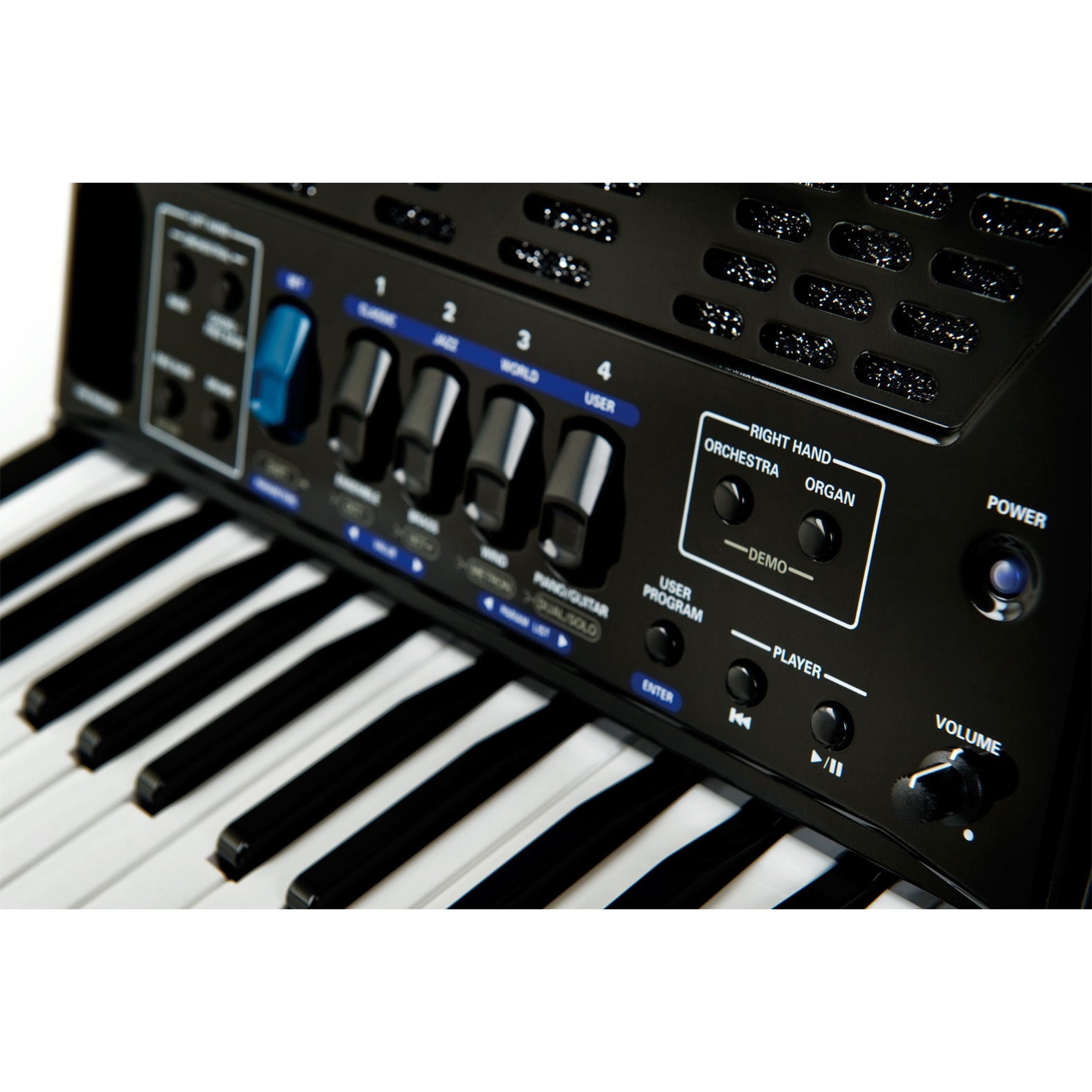 Roland FR-1x V-Accordion Lite Dale Mathis Edition - Black, View 9