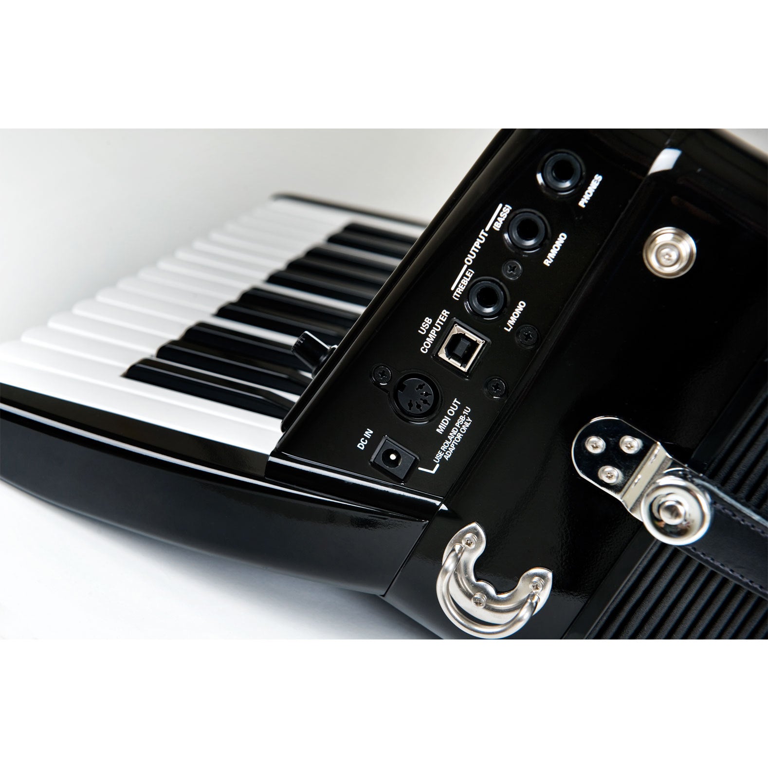 Roland FR-1x V-Accordion Lite Dale Mathis Edition - Black, View 5
