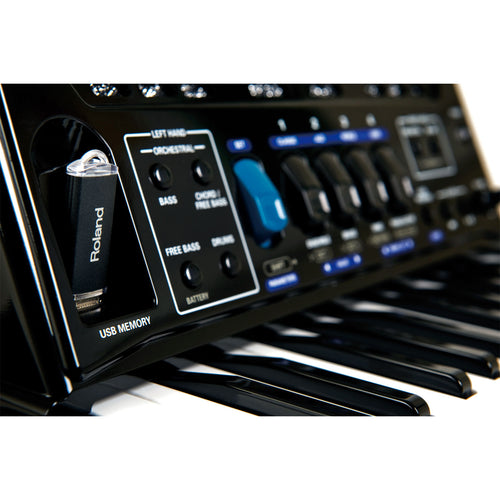 Roland FR-1x V-Accordion Lite Dale Mathis Edition - Black, View 8