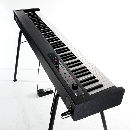 Korg D1 Digital Piano - Black