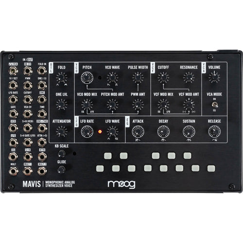 Moog Mavis Build-it-Yourself Analog Synthesizer View 2