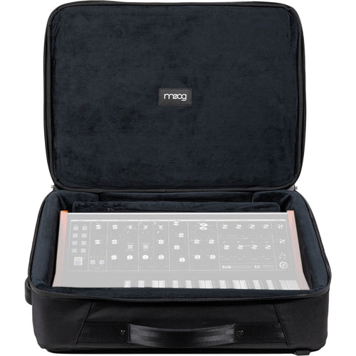 Moog Subsequent 25 SR Case View 1