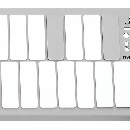 Pearl EM1 malletSTATION