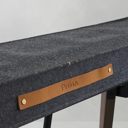 Casio CS90 Stand for PX-S6000