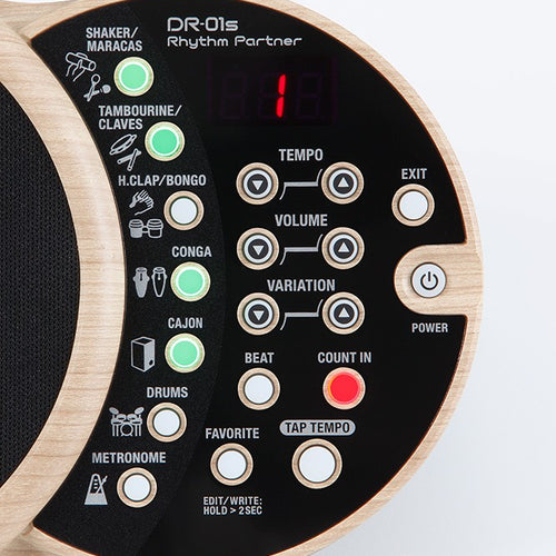 BOSS DR-01S Rhythm Partner